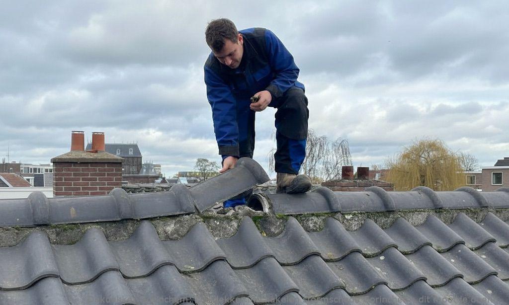 Dakdekker Inschakelen Stormschade Gorinchem