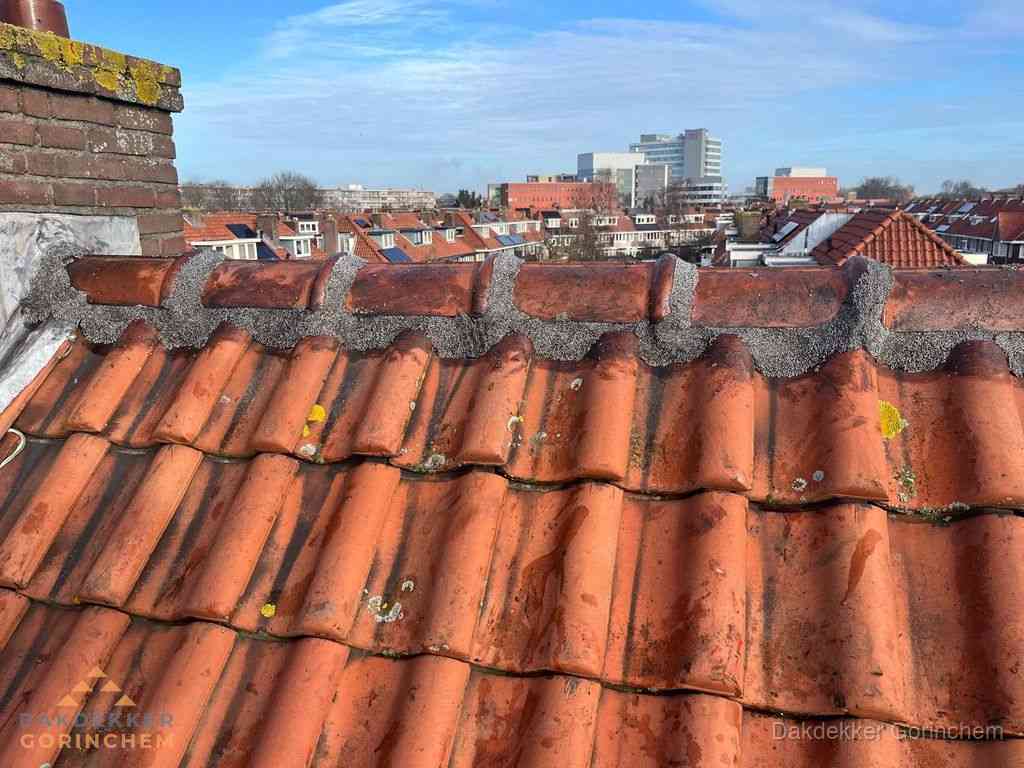 Gorinchem Daken Renoveren