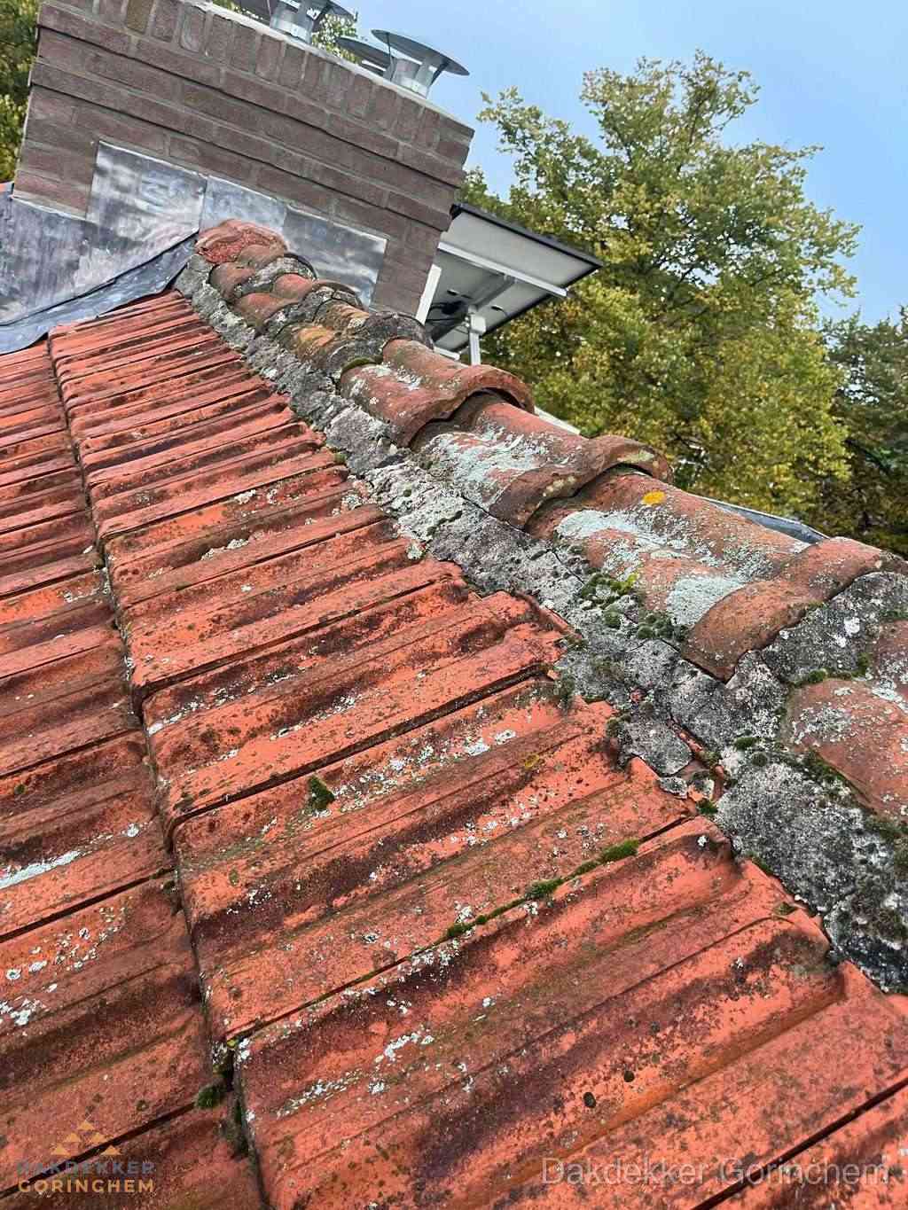 Renovatie Hellend Dak Gorinchem