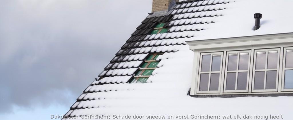 Schade Door Sneeuw En Vorst Gorinchem